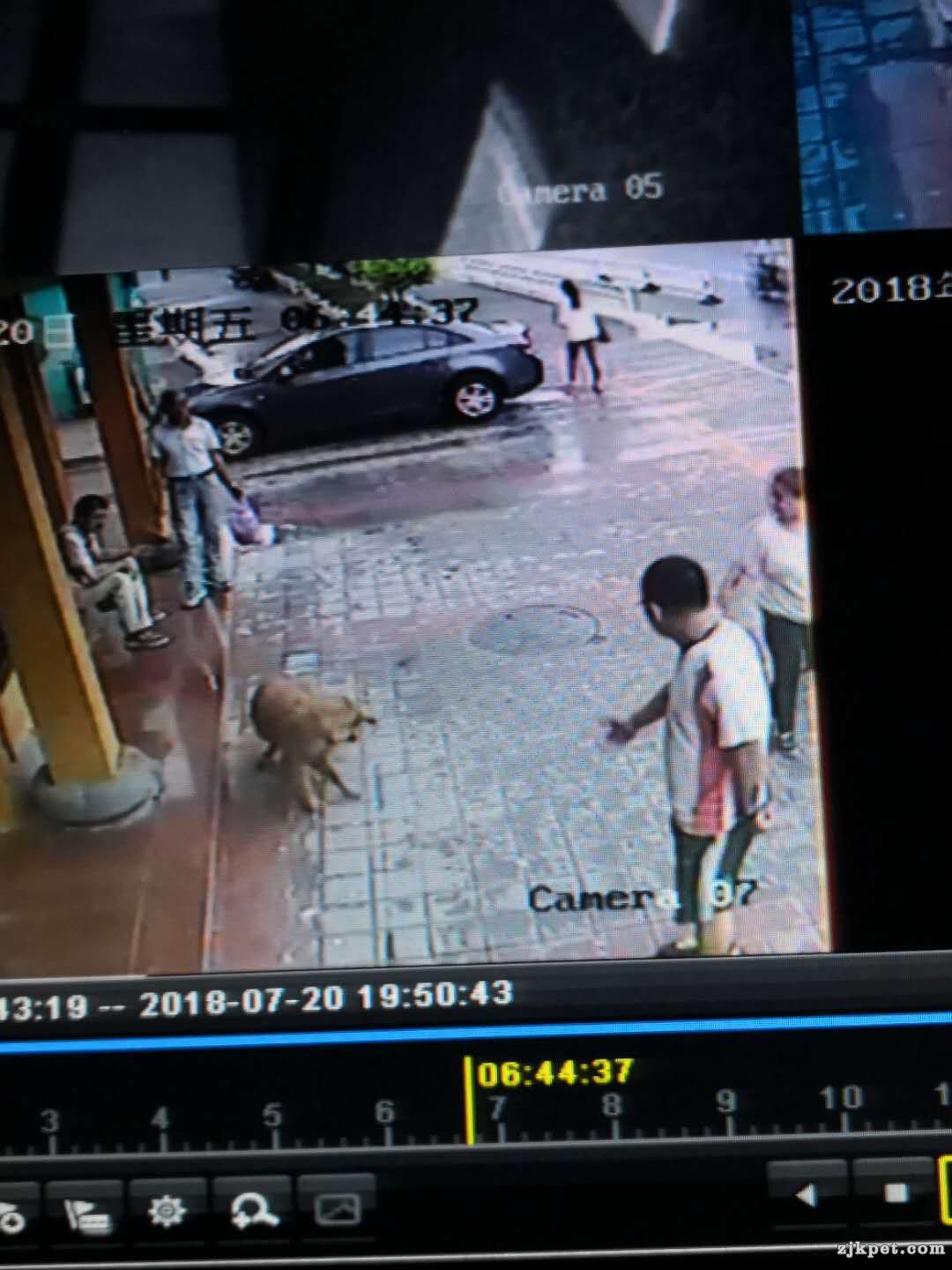 微信图片_20180721085327.jpg