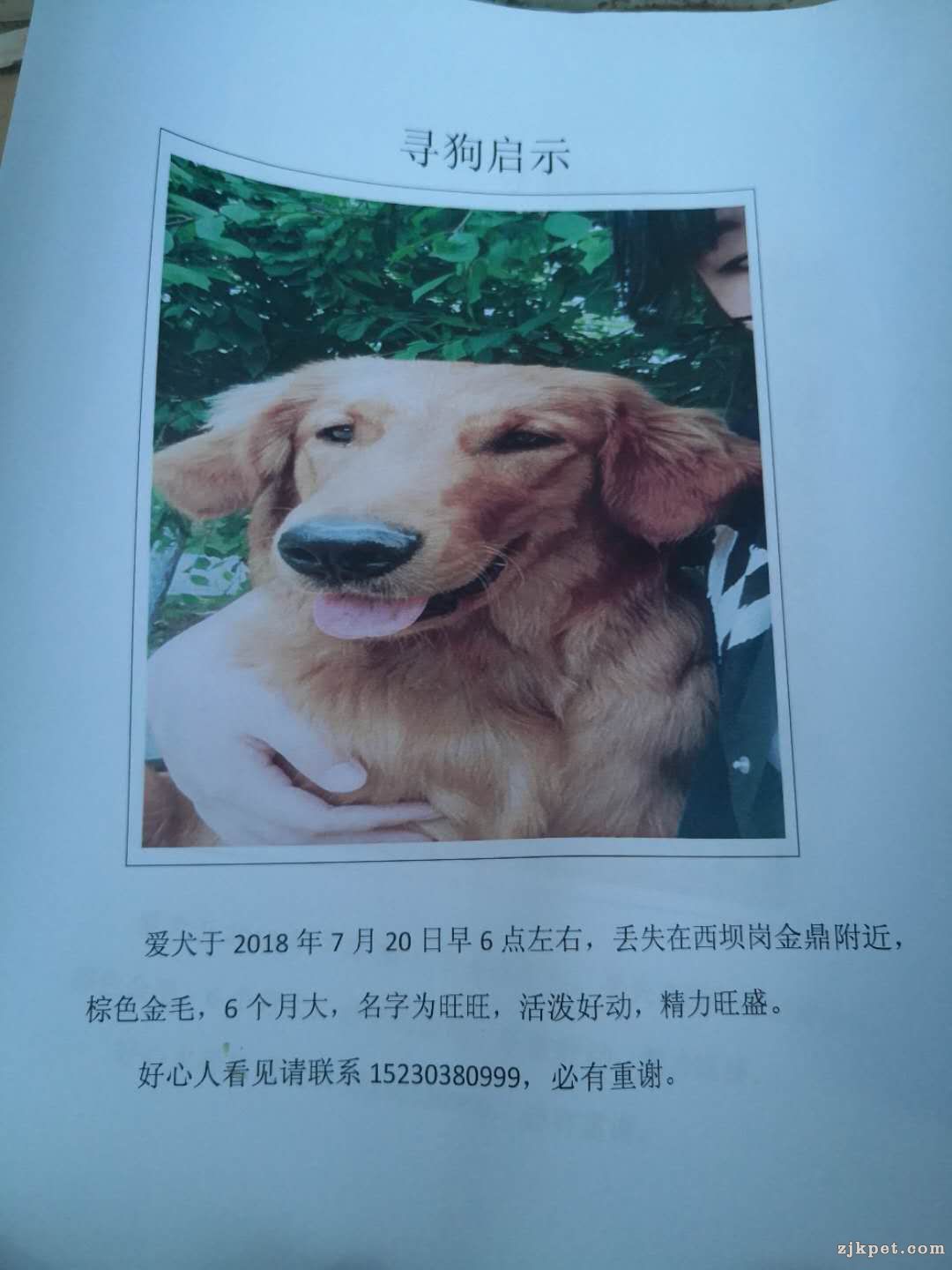 微信图片_20180721085331.jpg