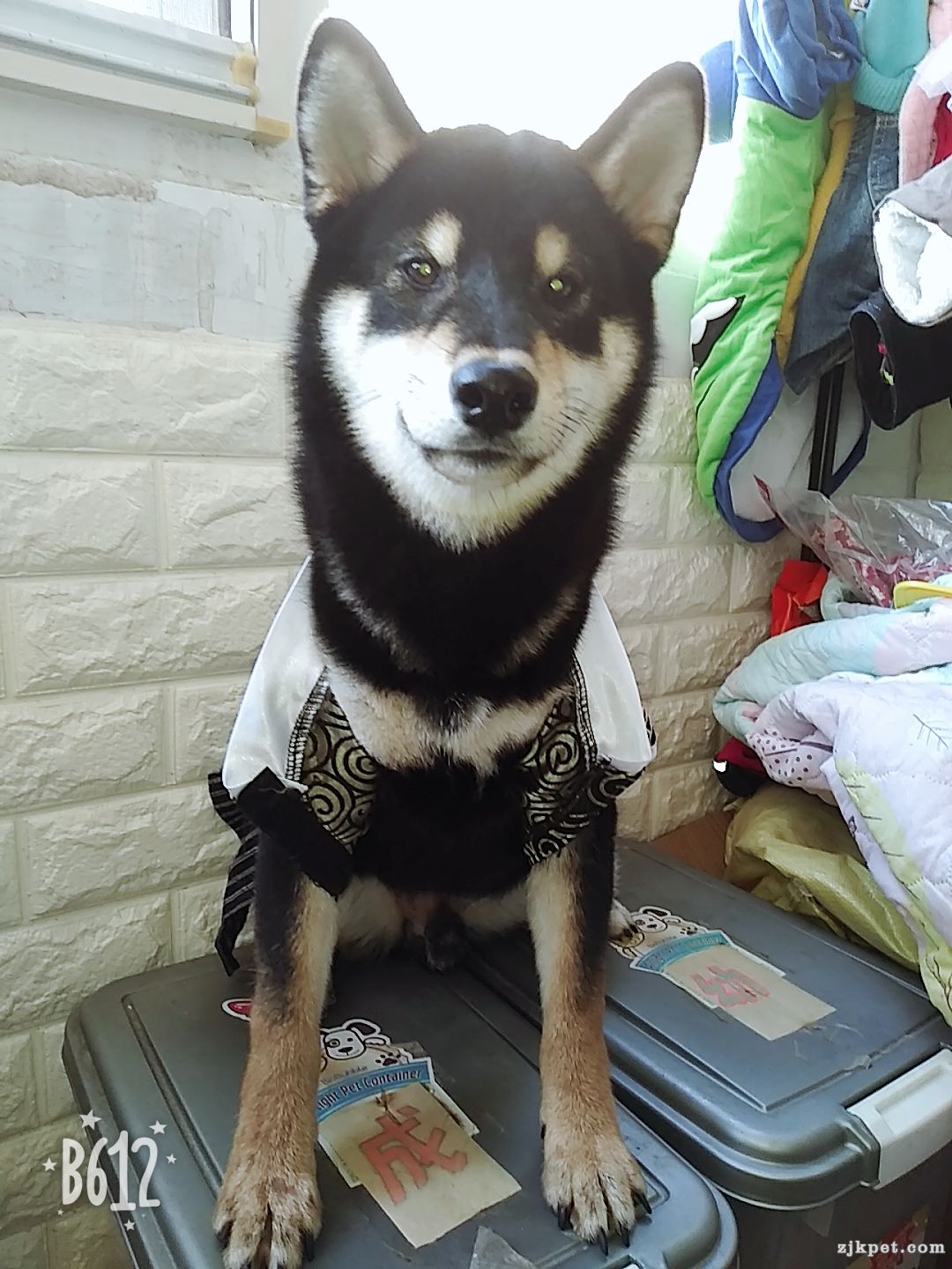 B612Kaji_20180907_081001_287.jpg
