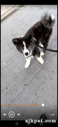 Screenshot_20190523_105831_com.huawei.himovie.jpg