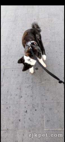 Screenshot_20190523_105822_com.huawei.himovie.jpg
