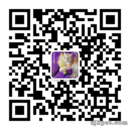 mmqrcode1558601639379.png