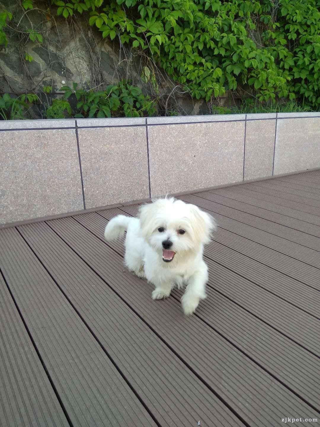 wechat_upload15596965575cf714ad687fc