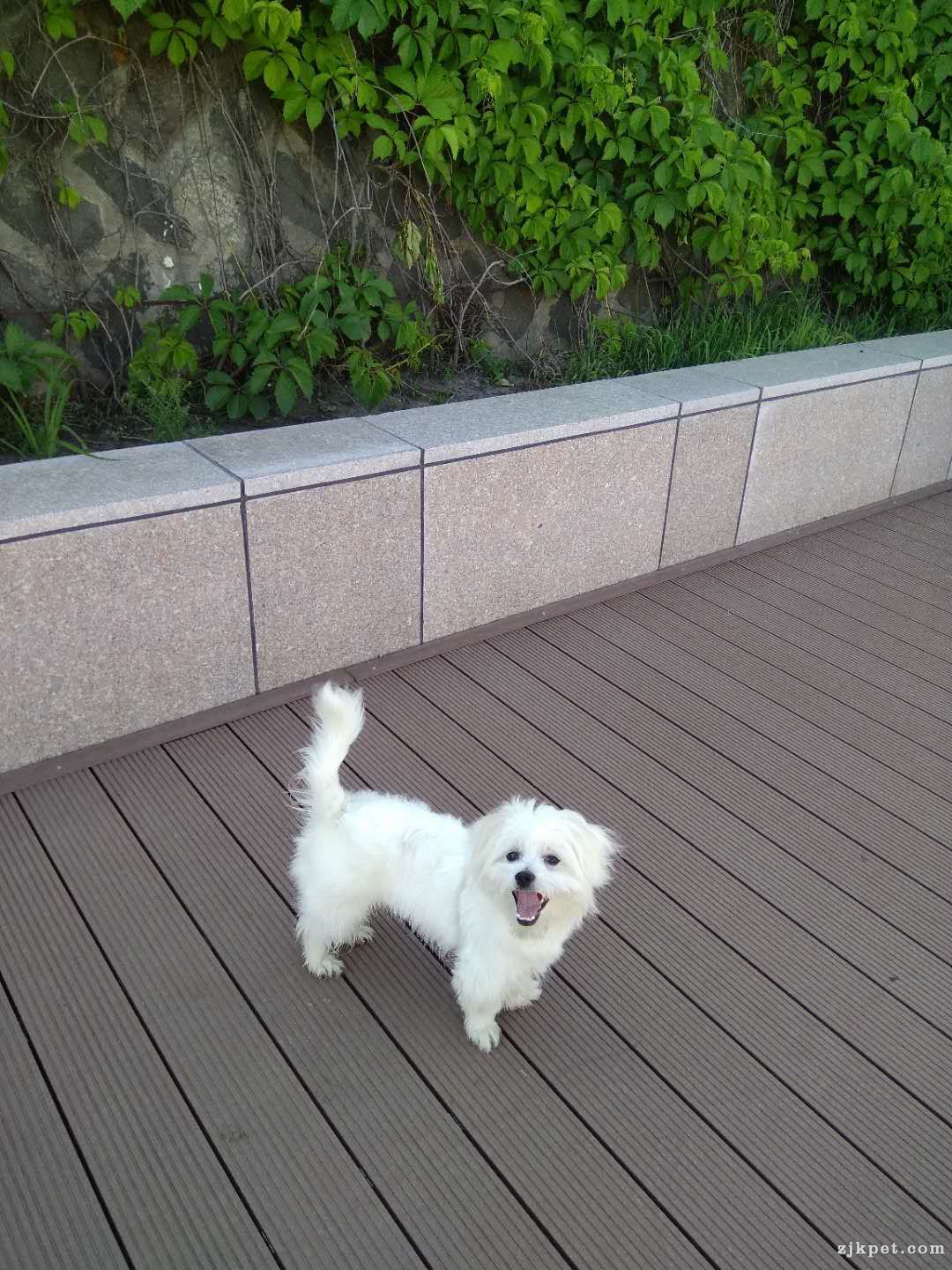 wechat_upload15596965585cf714ae11866
