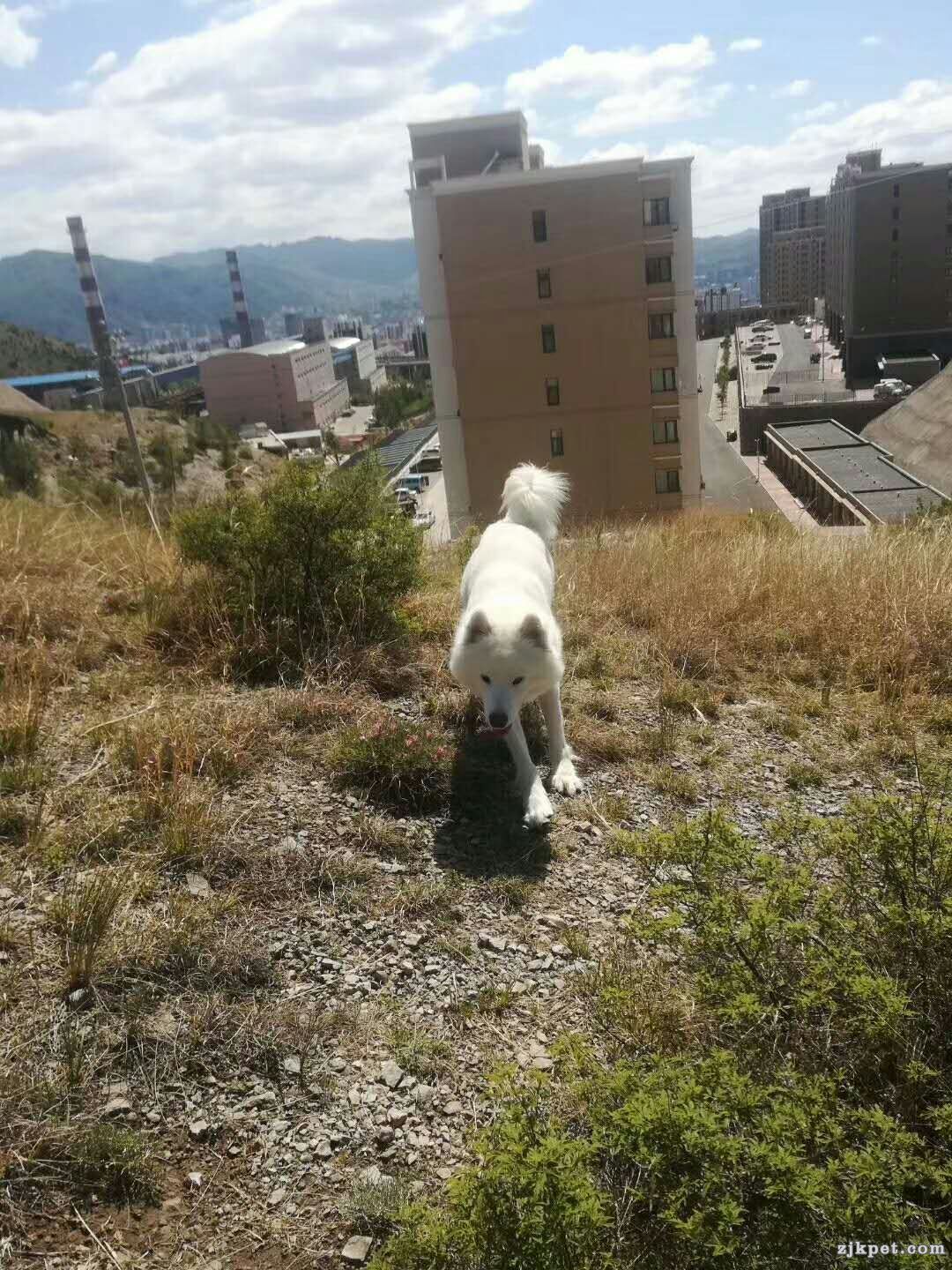 wechat_upload15607762915d078e63adf3e