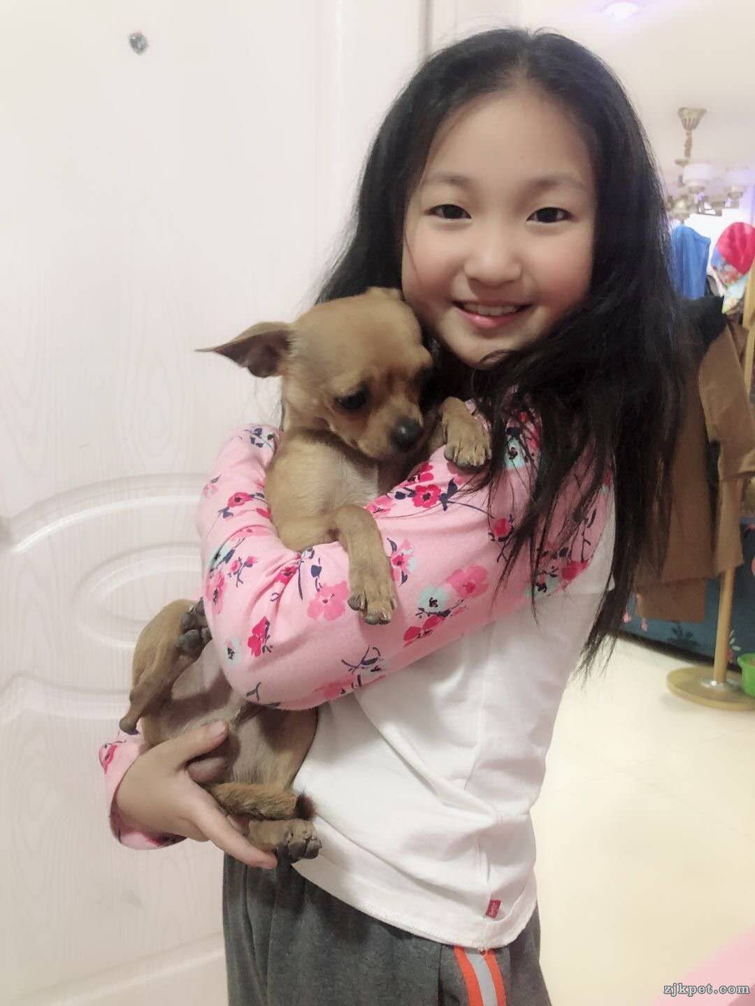 wechat_upload15608283115d0859970d36a