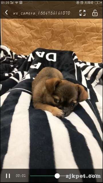wechat_upload15613046795d0f9e674ae18