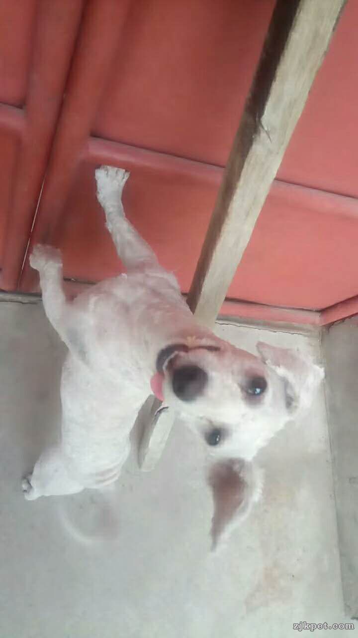 wechat_upload15626379545d23f682d22d2