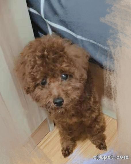 wechat_upload15638703345d36c47eada1b