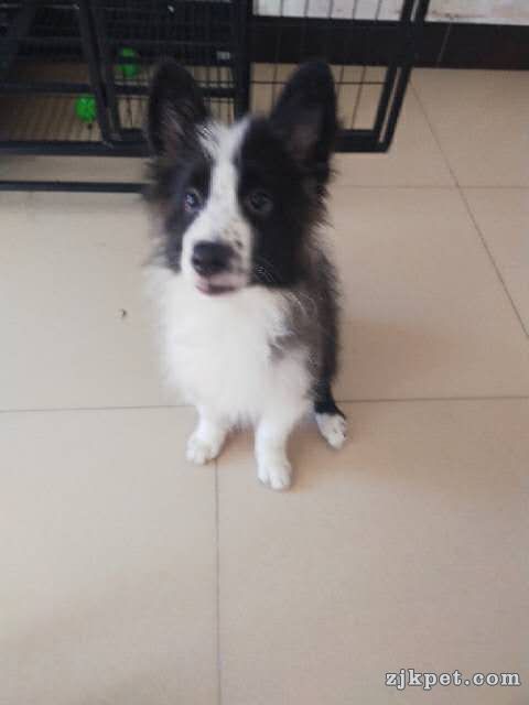 wechat_upload15638925355d371b3782561
