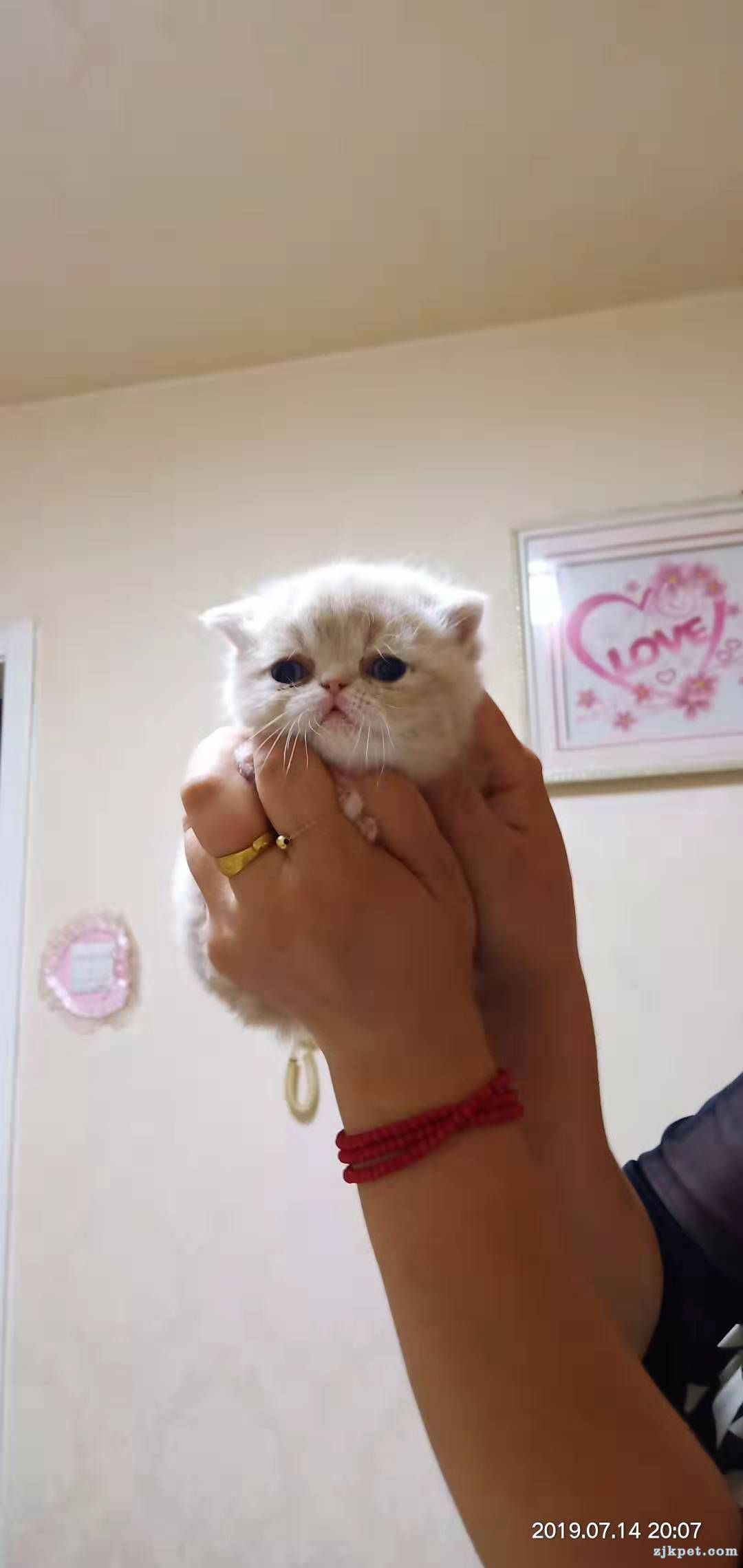 wechat_upload15639483485d37f53c0484b