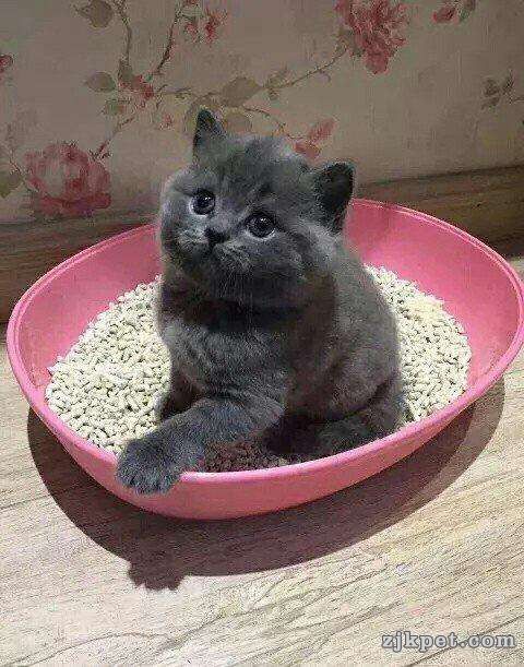 wechat_upload15639760785d38618e7c77b