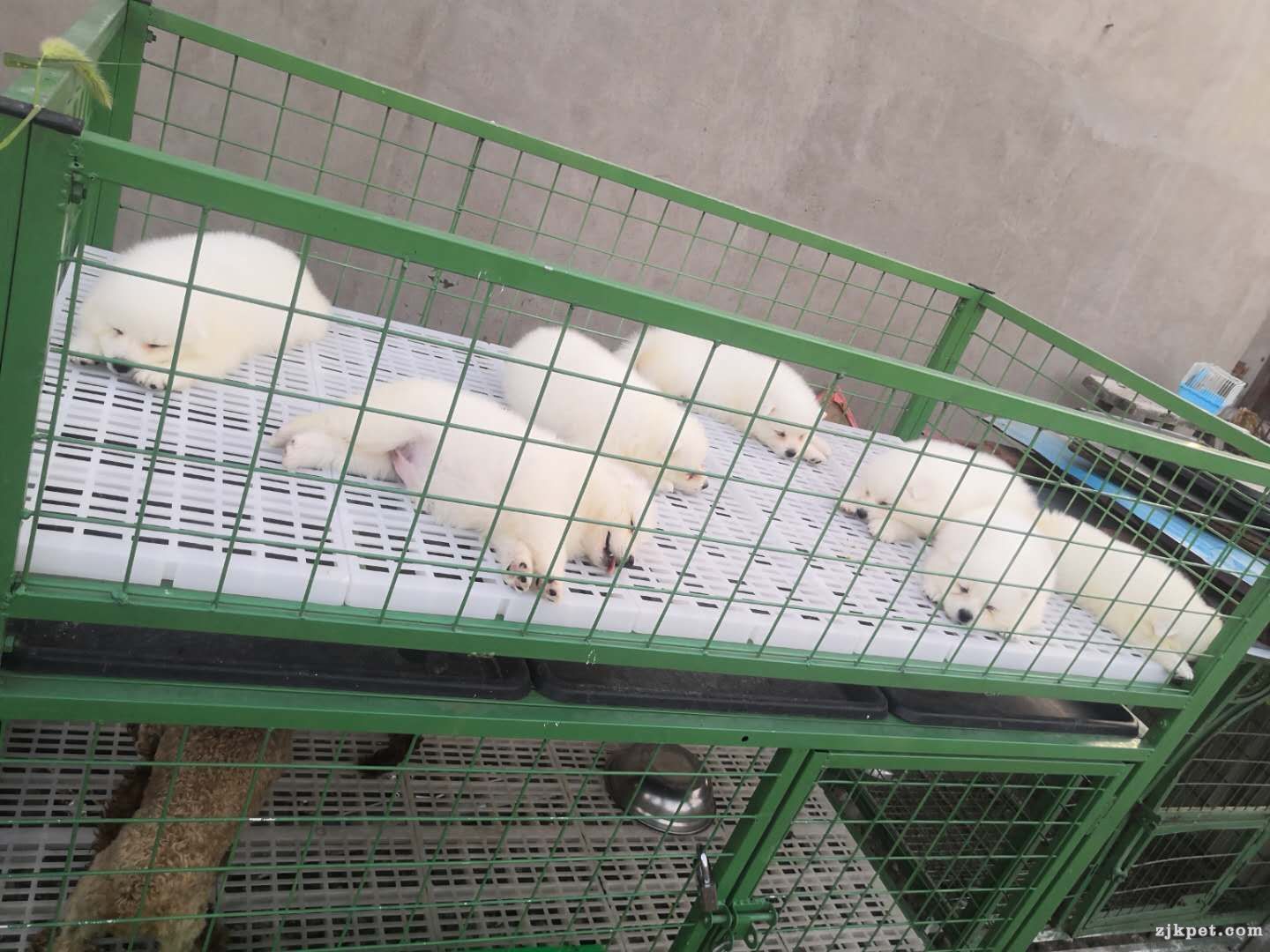 wechat_upload15641612025d3b34b2ca3b3