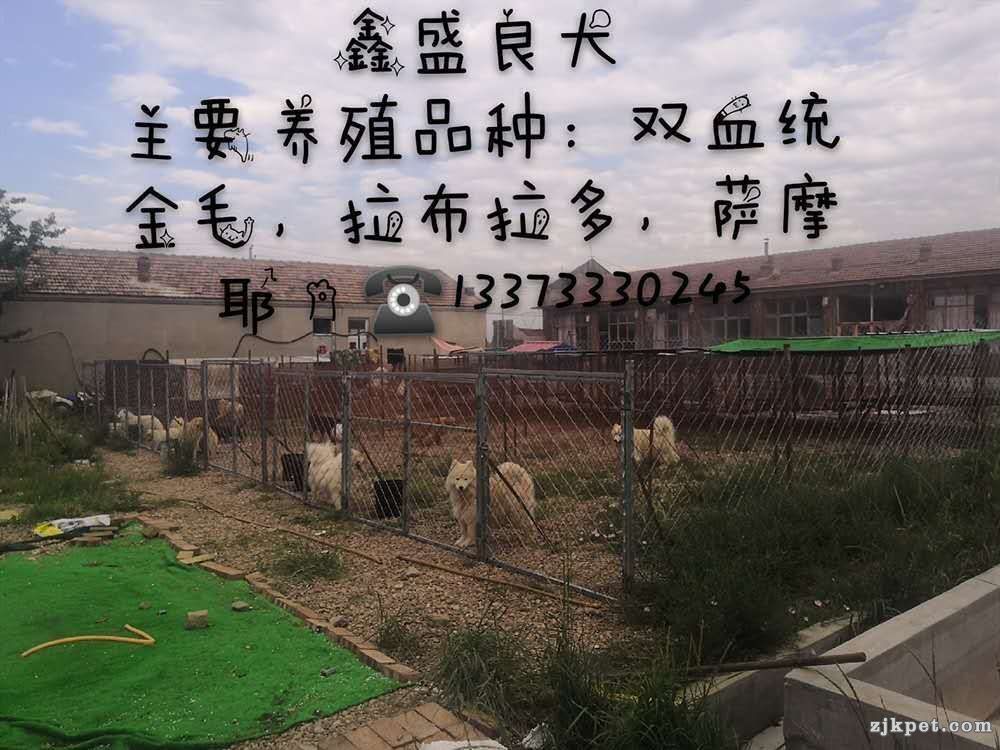 wechat_upload15641612055d3b34b57bab3