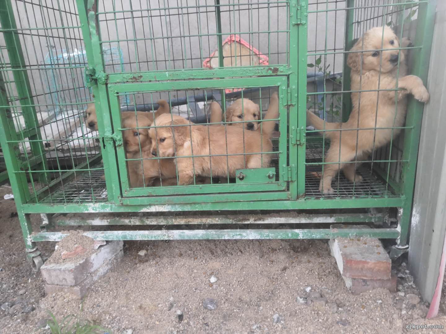 wechat_upload15641612055d3b34b51facb
