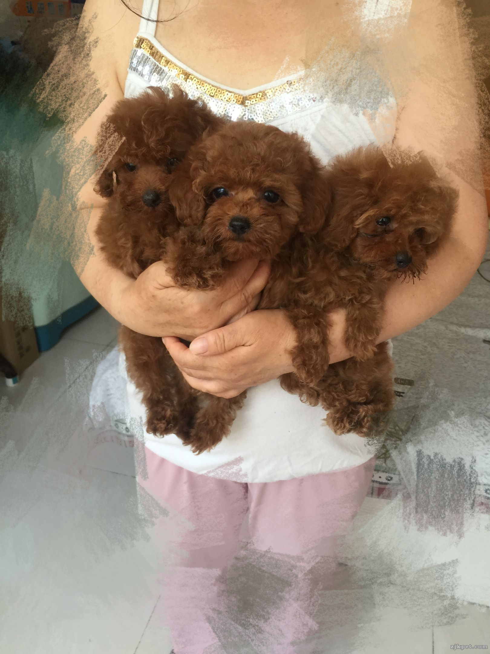 wechat_upload15643627285d3e47e872eed