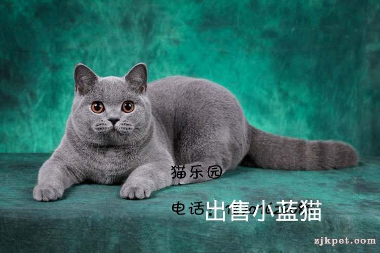 wechat_upload15653202005d4ce40859d24