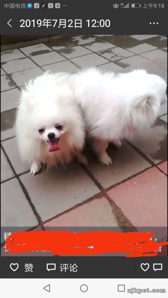wechat_upload15655844285d50ec2c45db4
