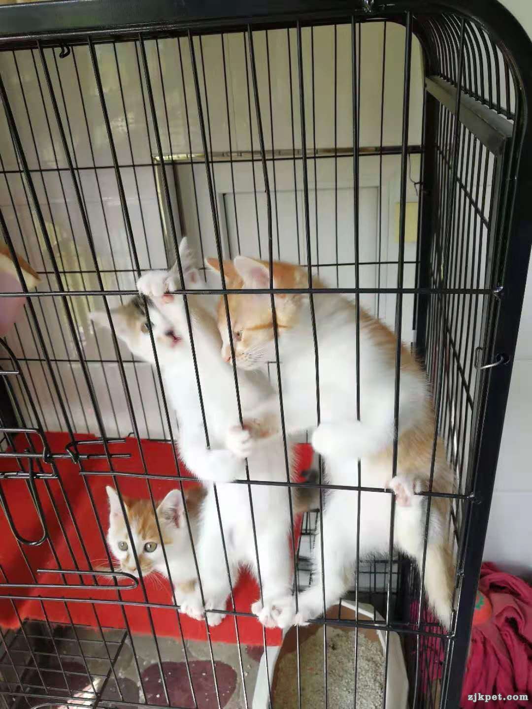wechat_upload15665471205d5f9cb0c3e12