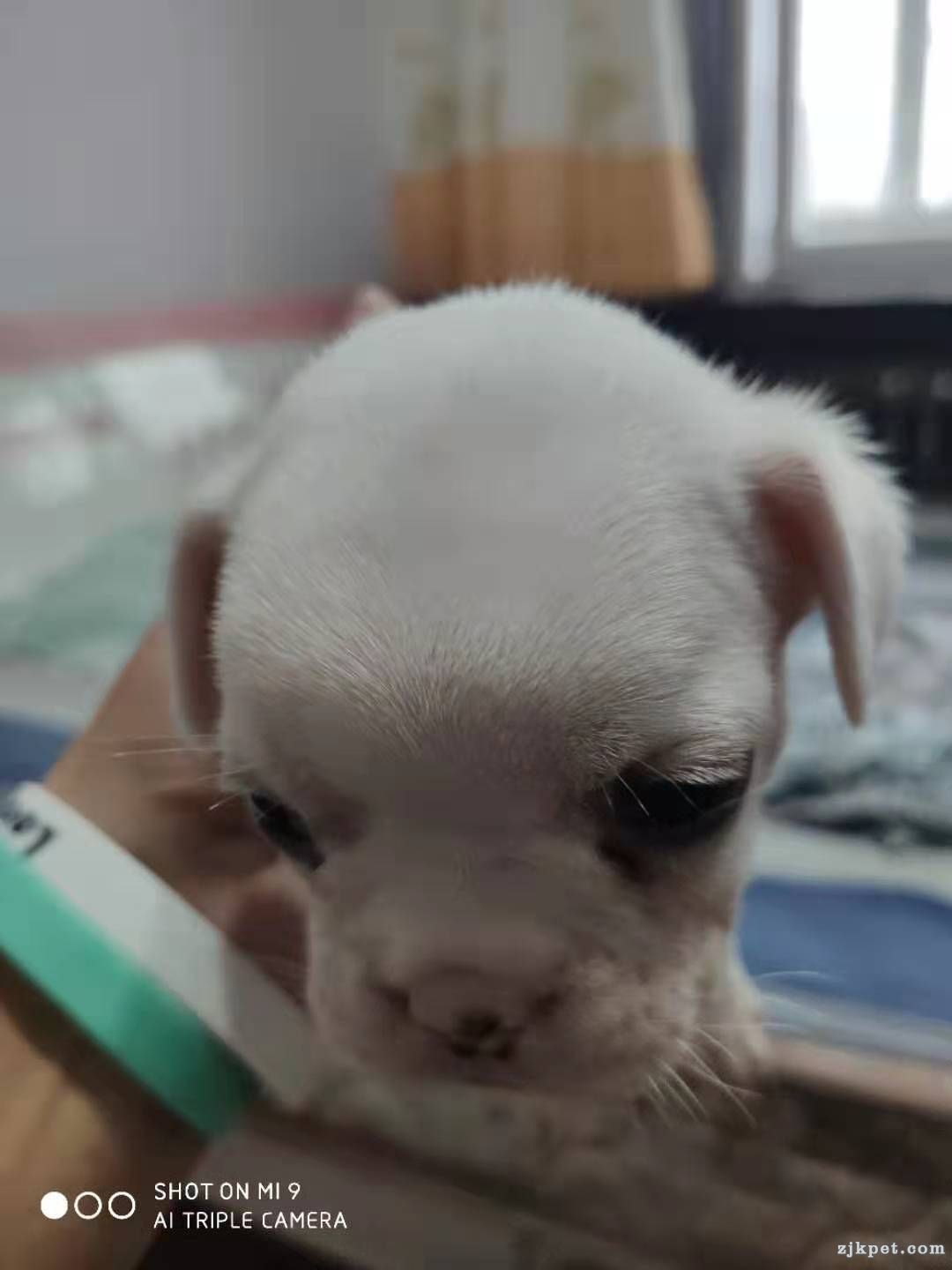 wechat_upload15669532695d65cf355d77c