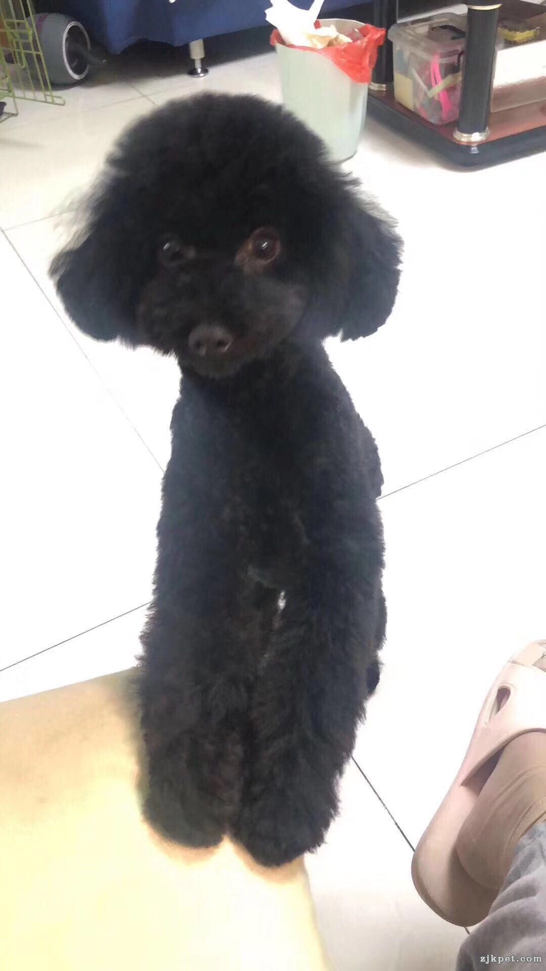 wechat_upload15673914345d6c7eca59bb0