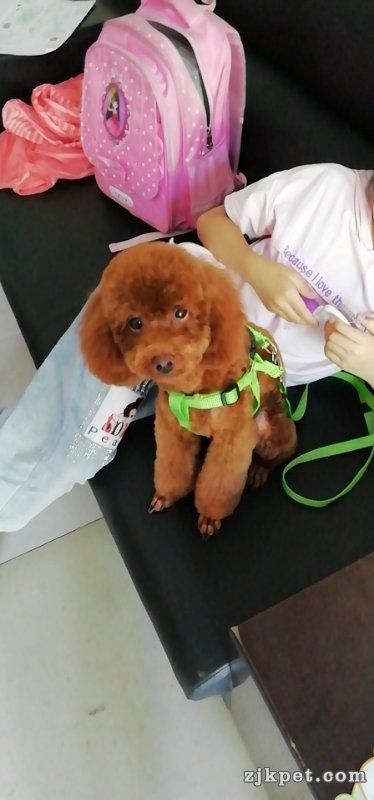 wechat_upload15692042095d8827f1954e5