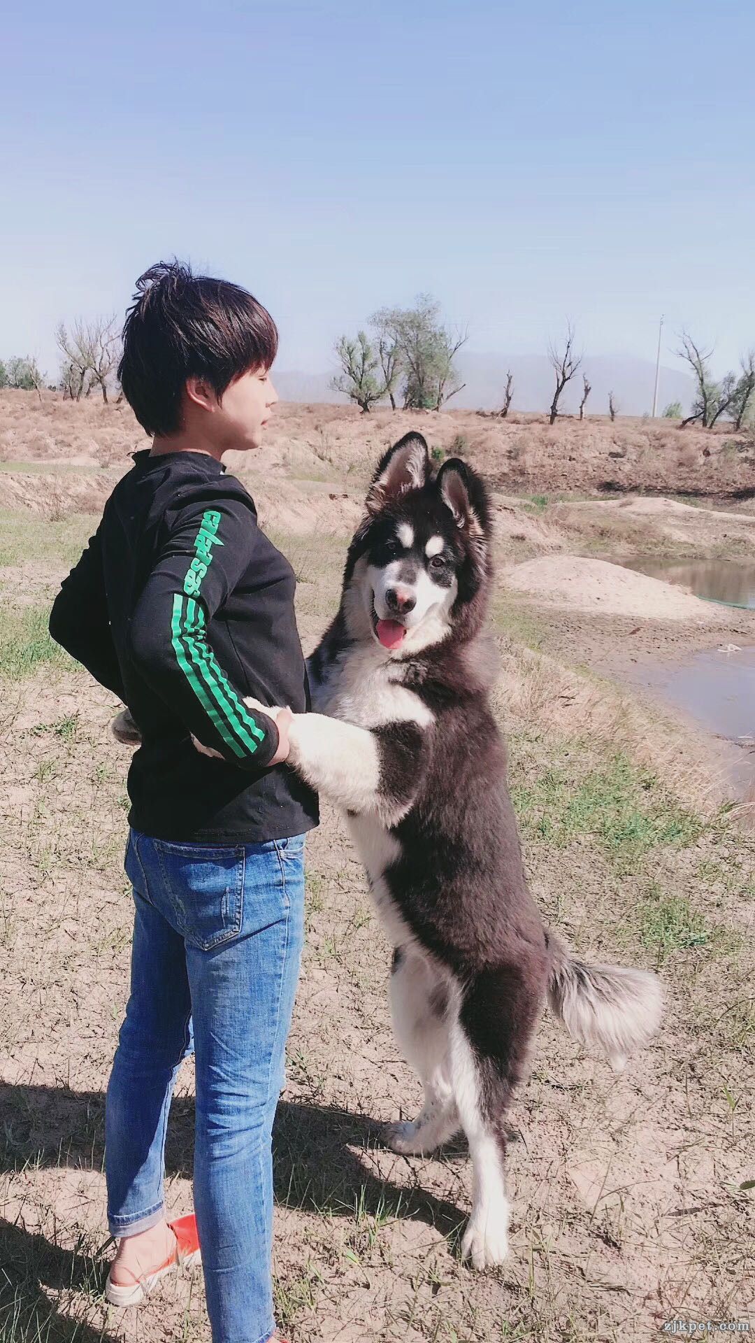 wechat_upload15694933785d8c9182889a1