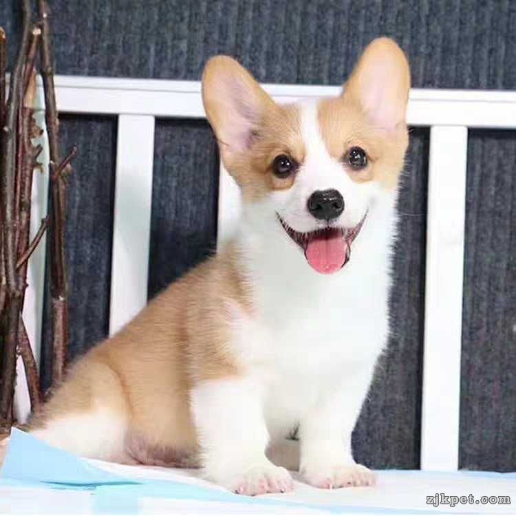 wechat_upload15695572545d8d8b06b49fb