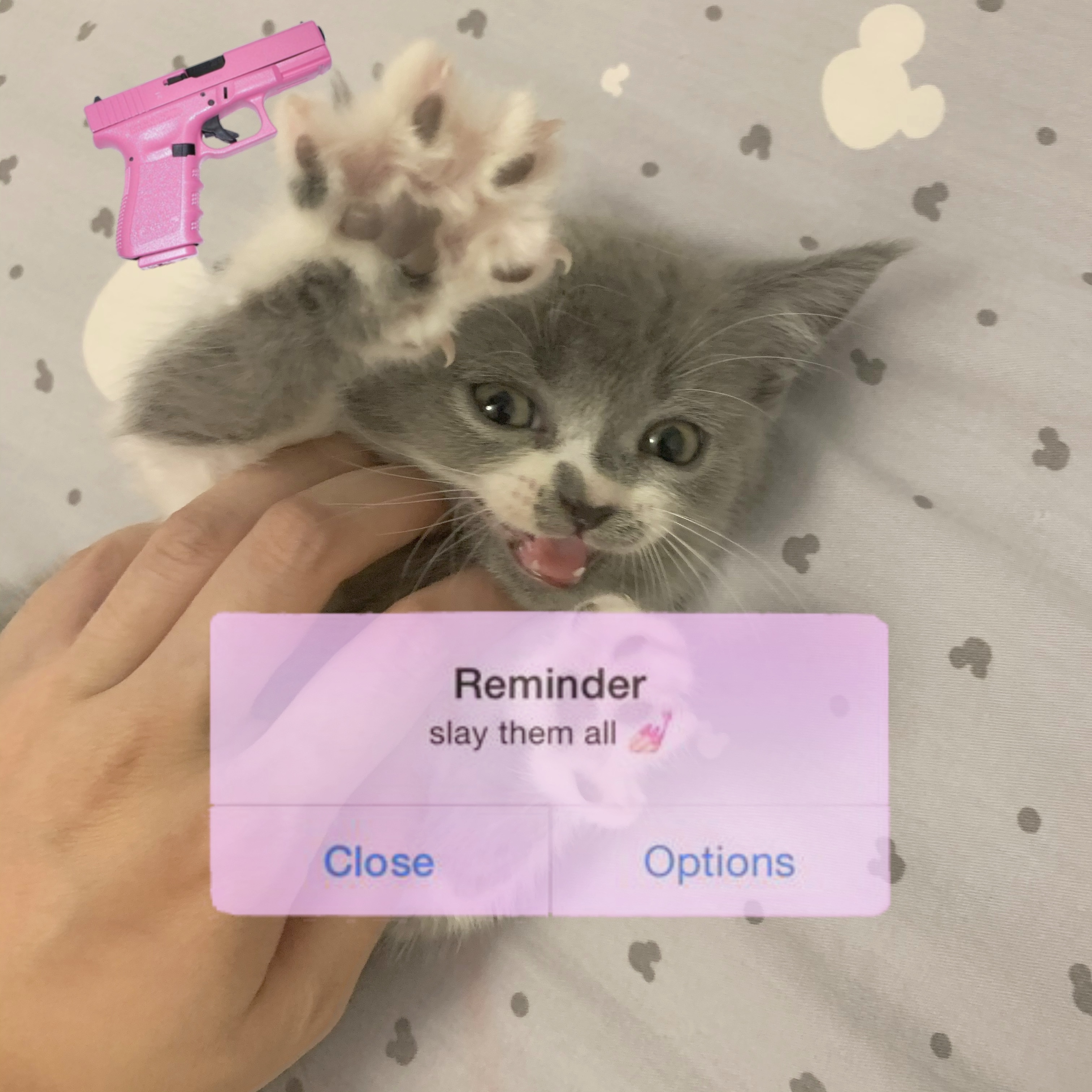 1A2378CD-CD8B-40A0-B83B-D16F0E4C478C.jpeg
