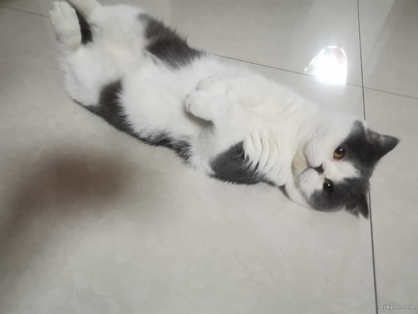 wechat_upload15705329265d9c6e3eaaf16