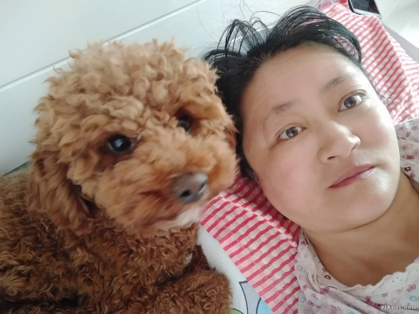 wechat_upload15733505725dc76cac3b2be