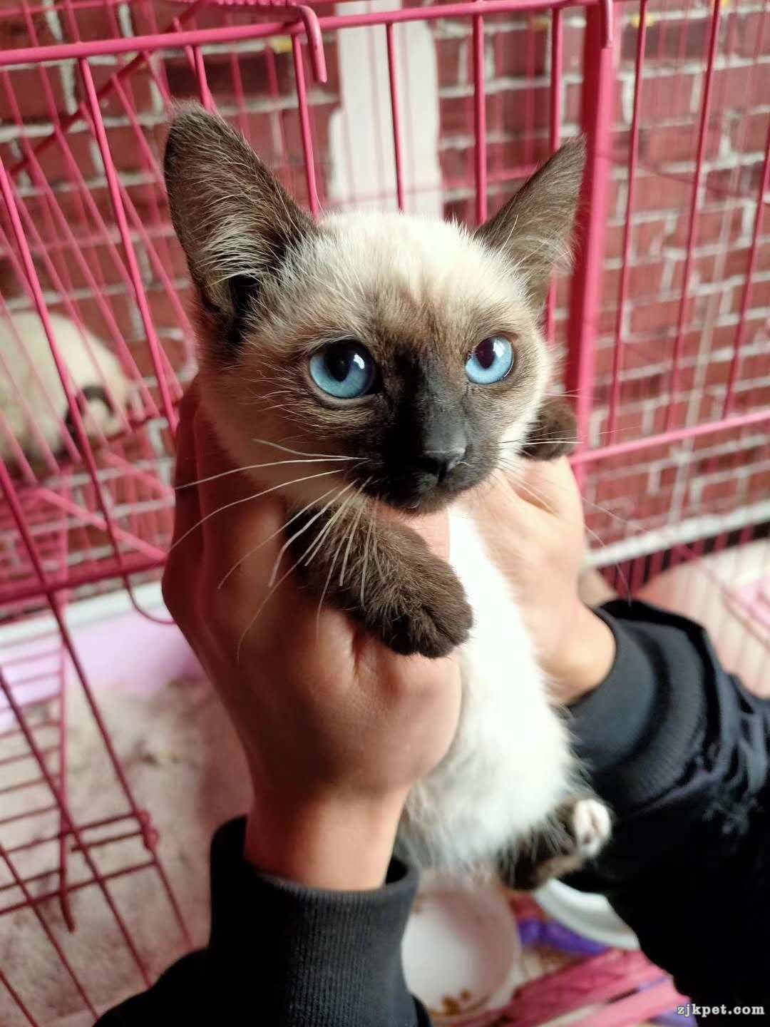 wechat_upload15745974725dda736026e41