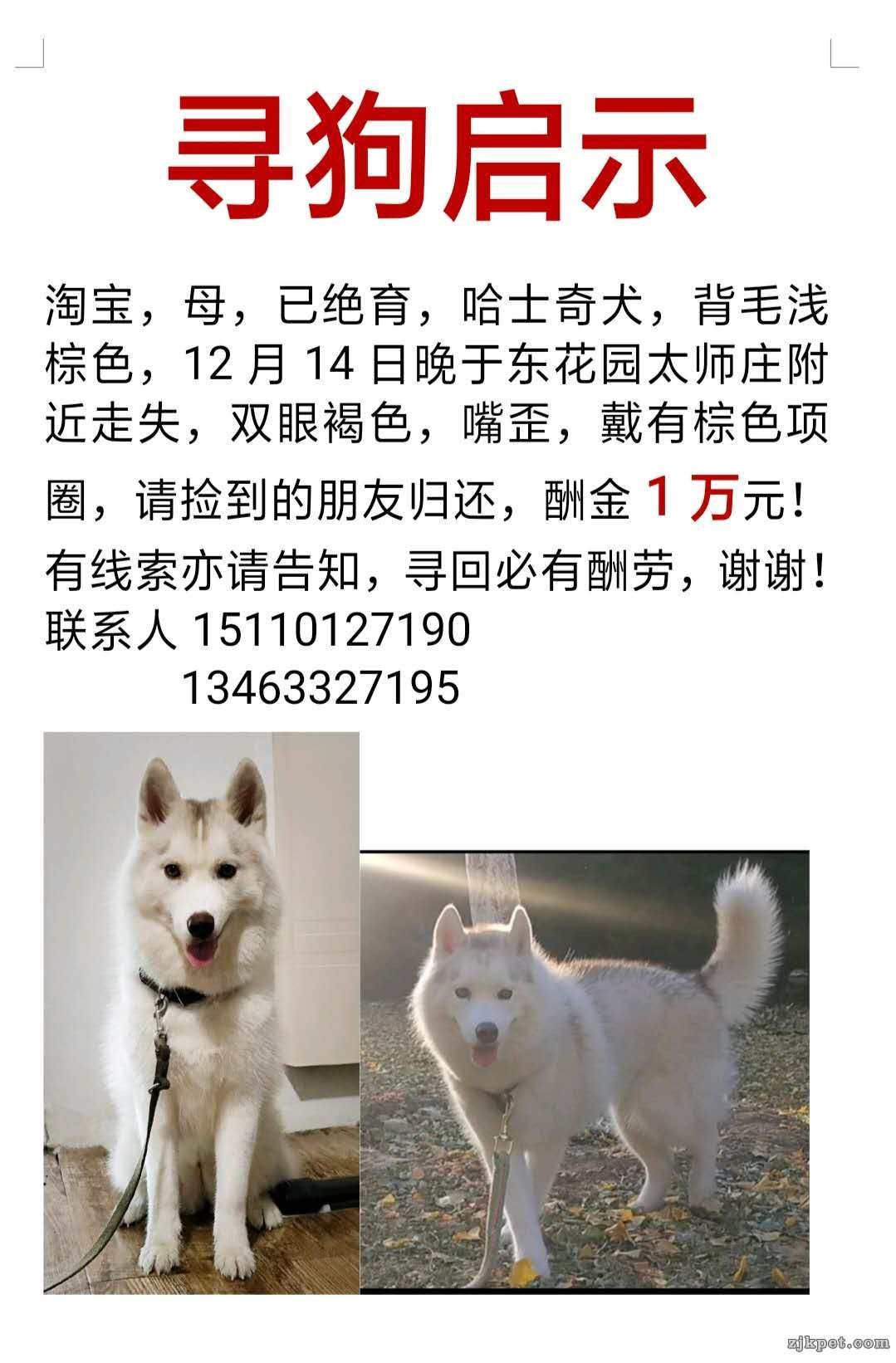 wechat_upload15767372865dfb1a067a5d3