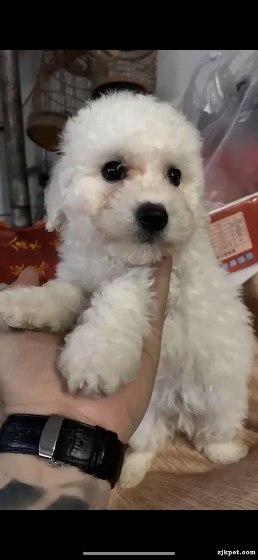 wechat_upload15780261245e0ec48c61800