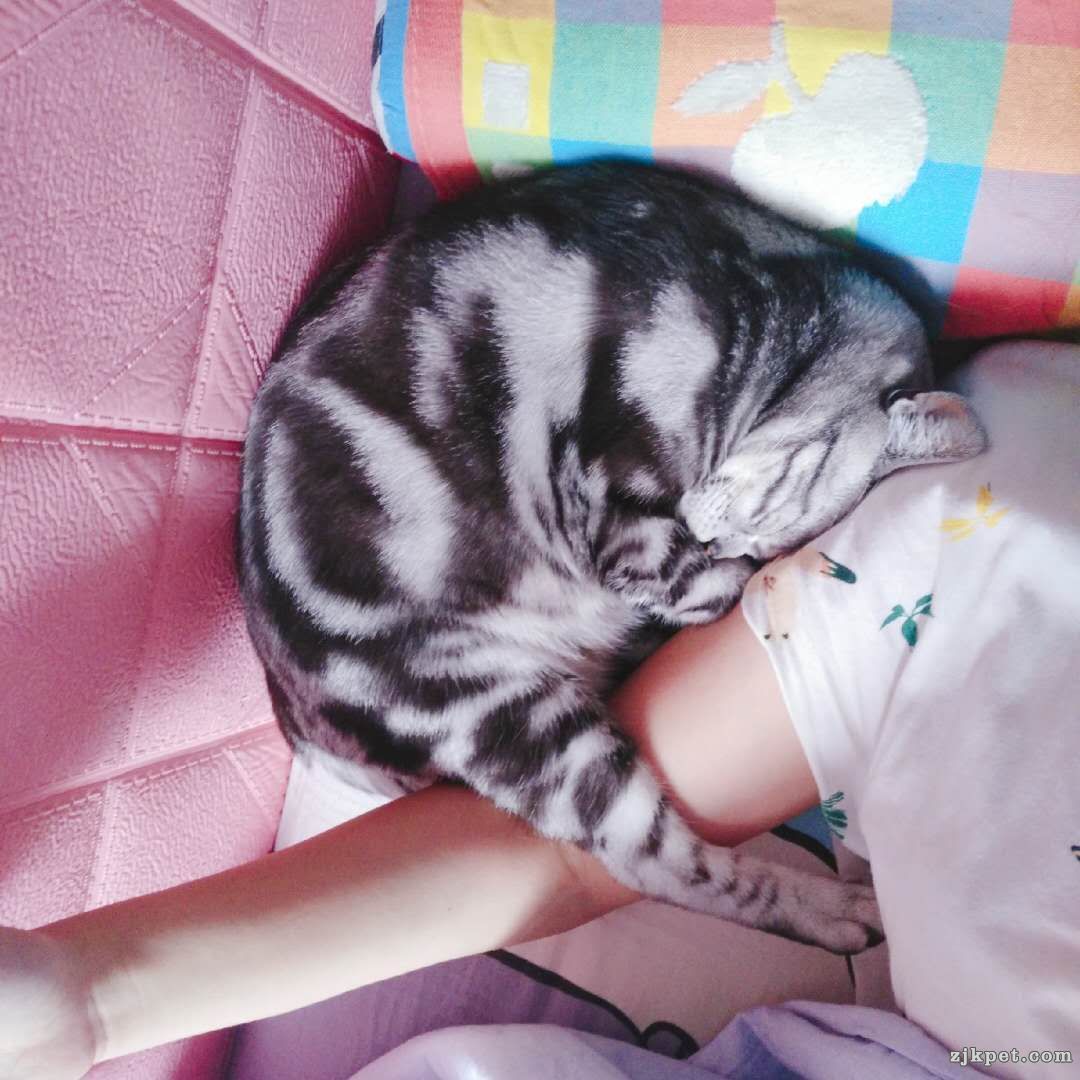 wechat_upload15789233835e1c757730626