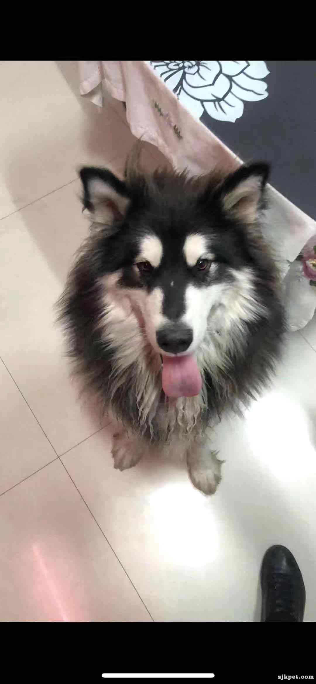 wechat_upload15790533195e1e71071eabd