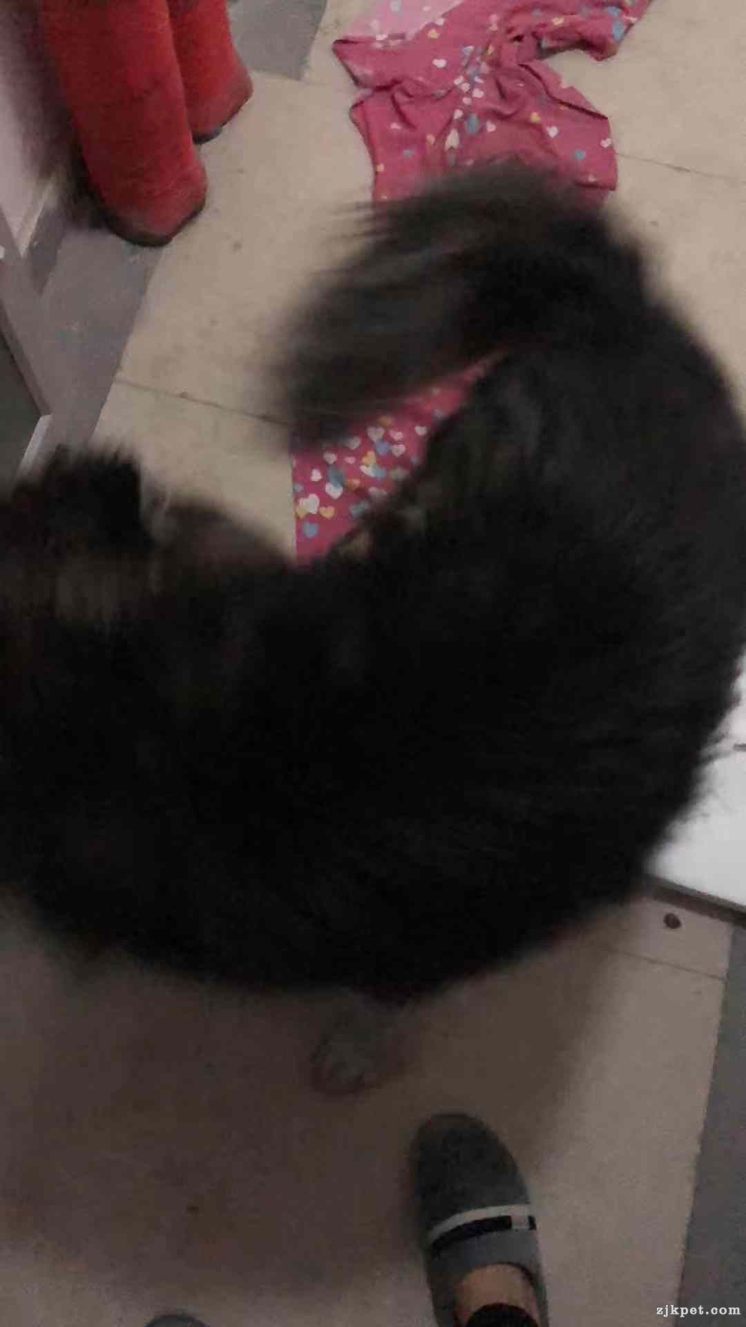 wechat_upload15790533195e1e710798523