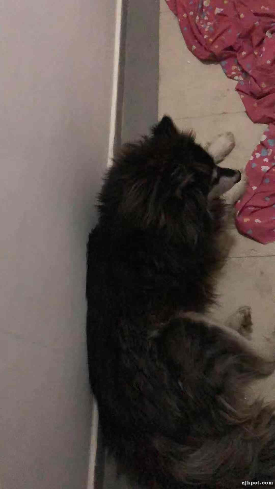 wechat_upload15790533205e1e71080293e