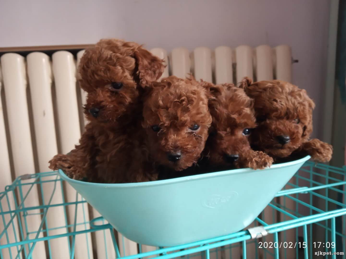 wechat_upload15820850315e4cb3a7a4725