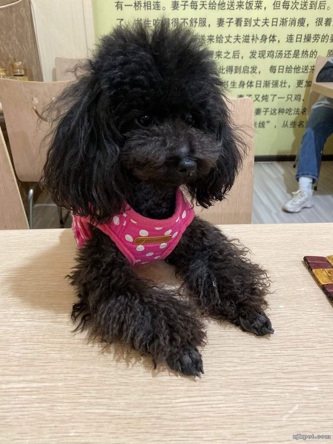 wechat_upload15844648105e7103aa5081a