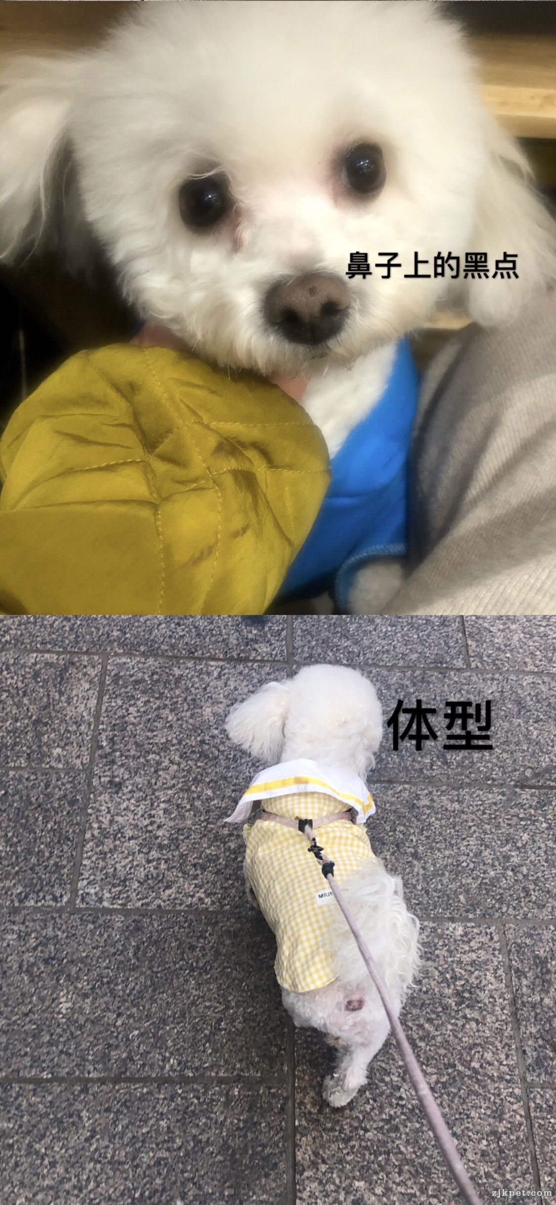 wechat_upload15872157305e9afd72672b2