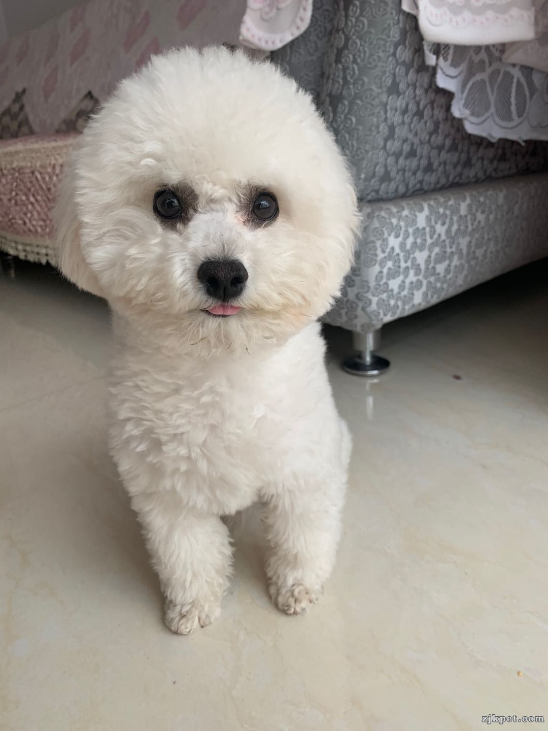 wechat_upload15879663255ea671755b182
