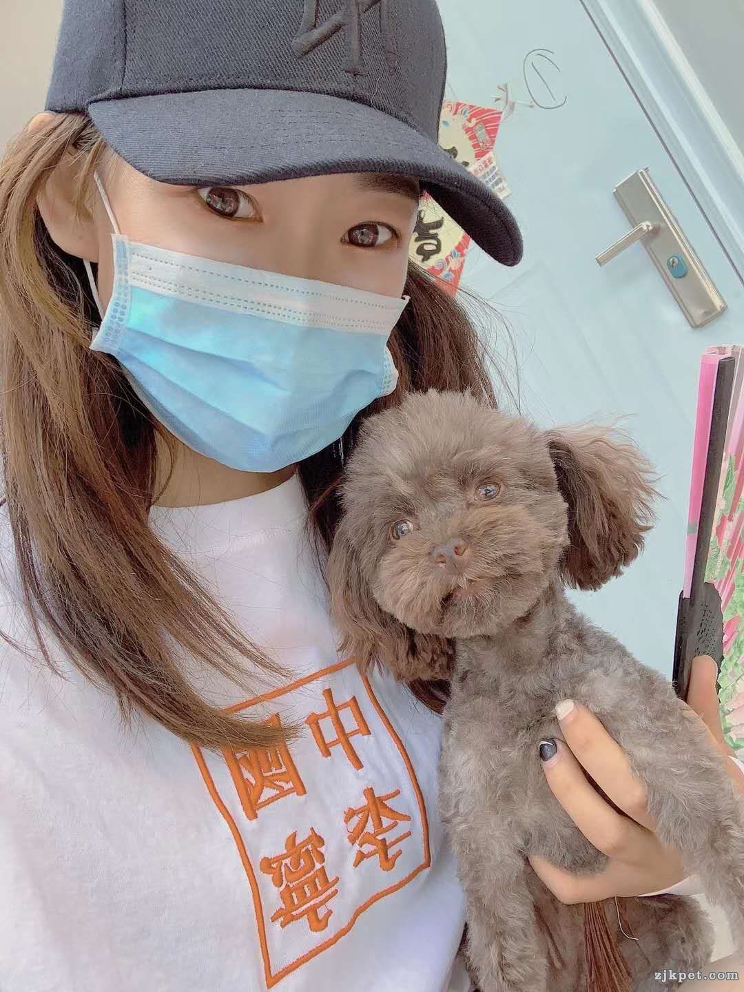 wechat_upload15917520765ee0358c70c56