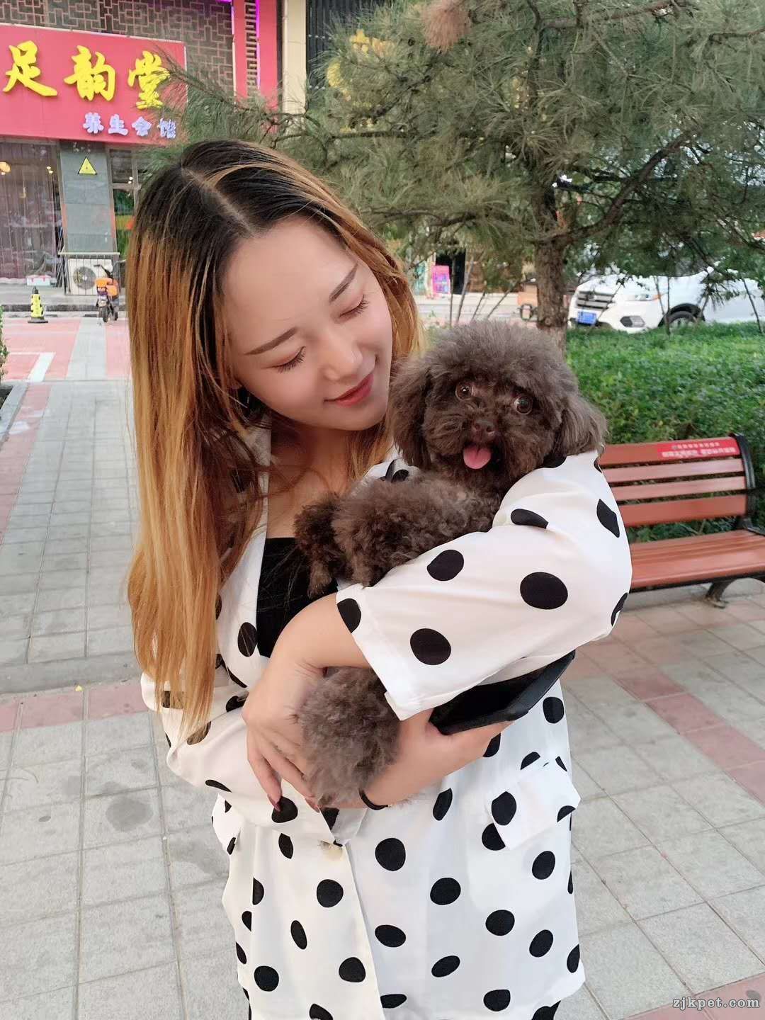 wechat_upload15917520775ee0358d934b3
