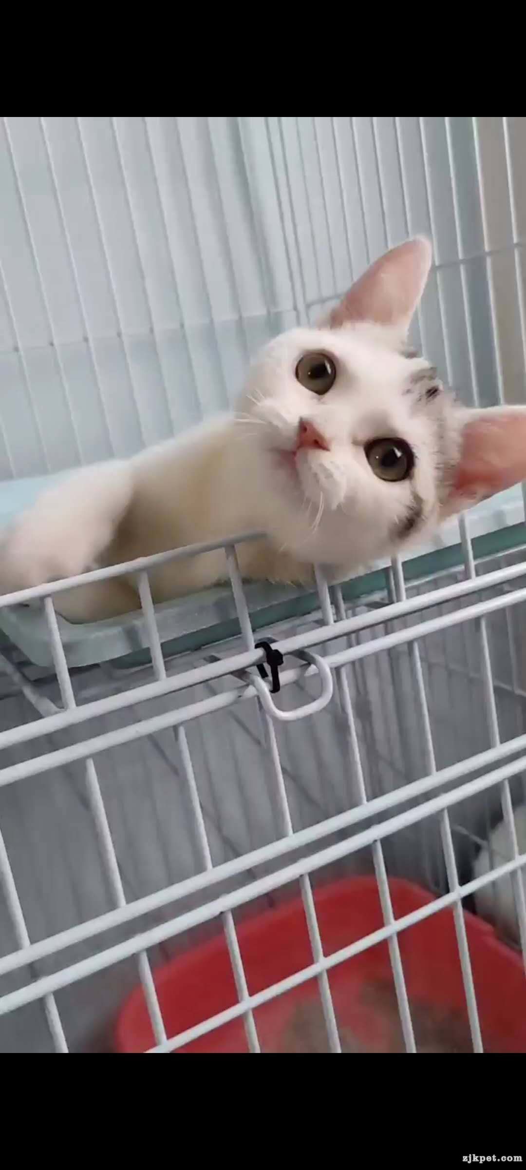 wechat_upload15927533765eef7ce075b4f