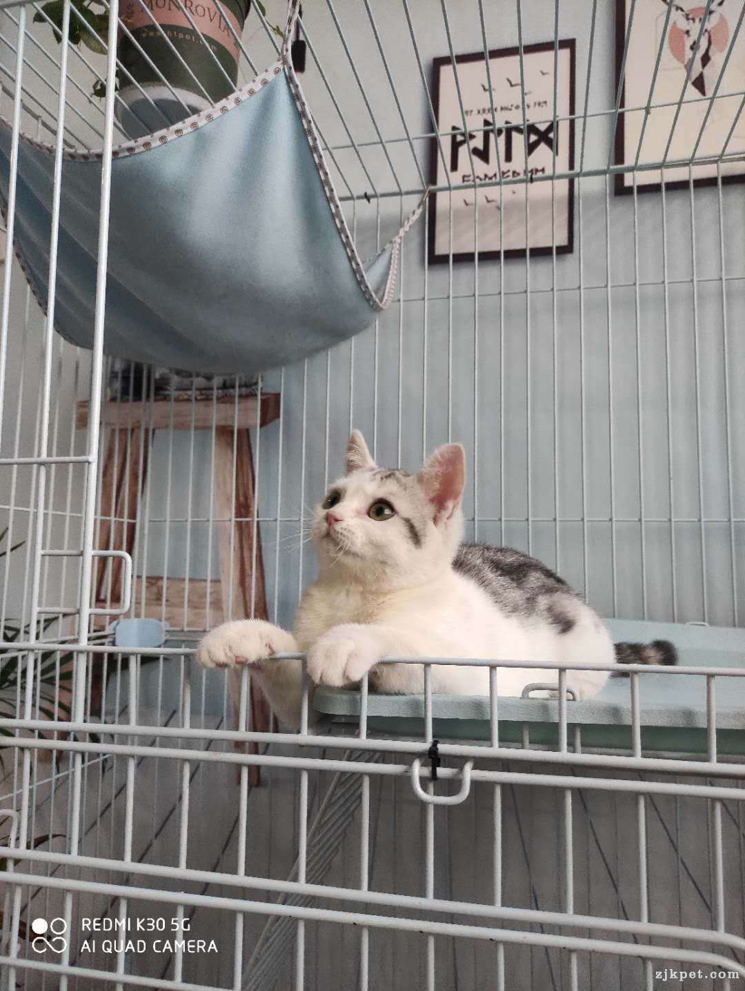 wechat_upload15927533775eef7ce124469