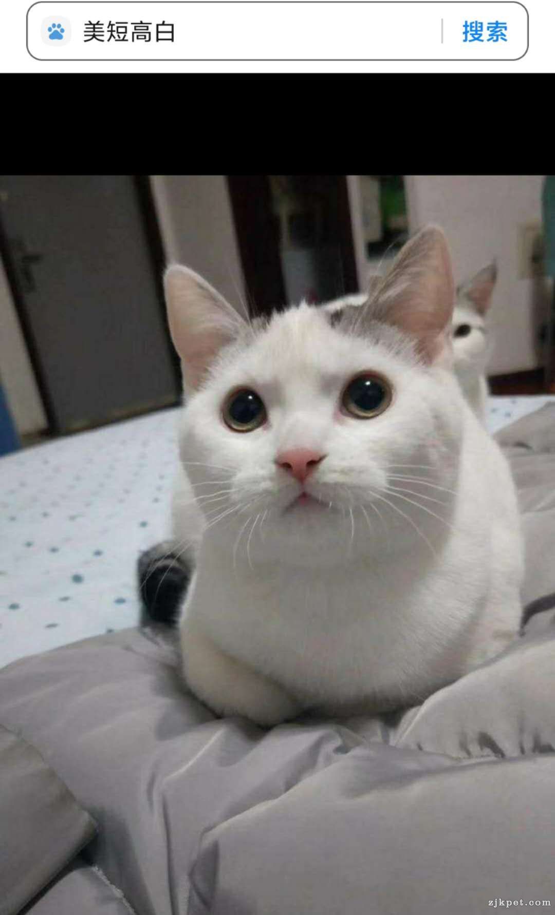 wechat_upload15927533785eef7ce2cf35e