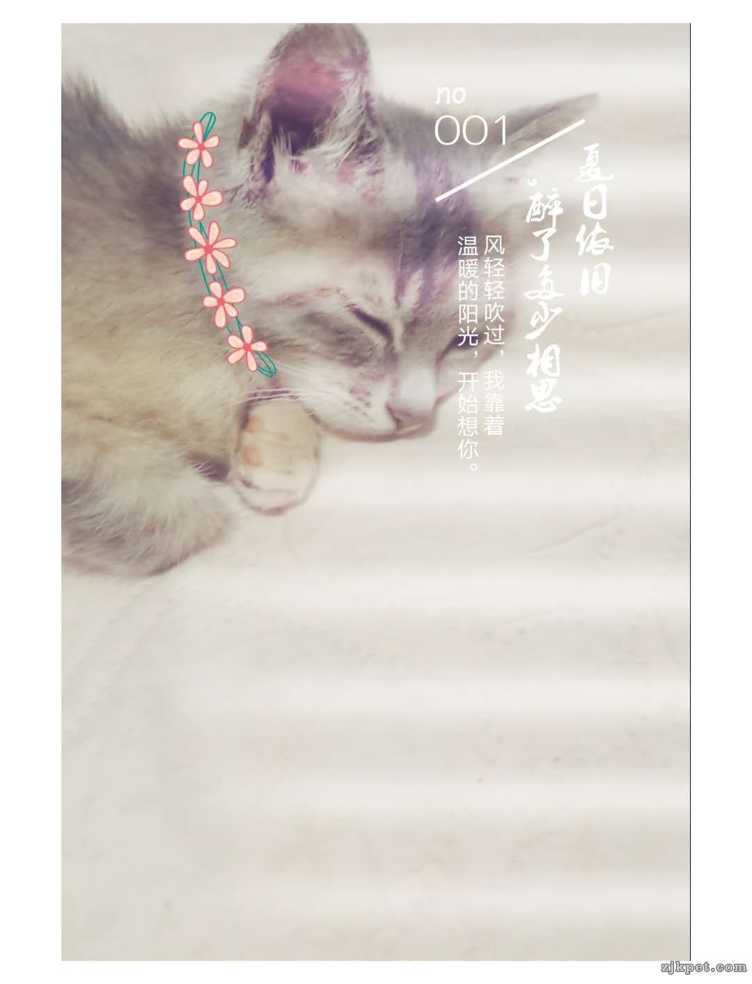 wechat_upload15940038435f02918381c7c