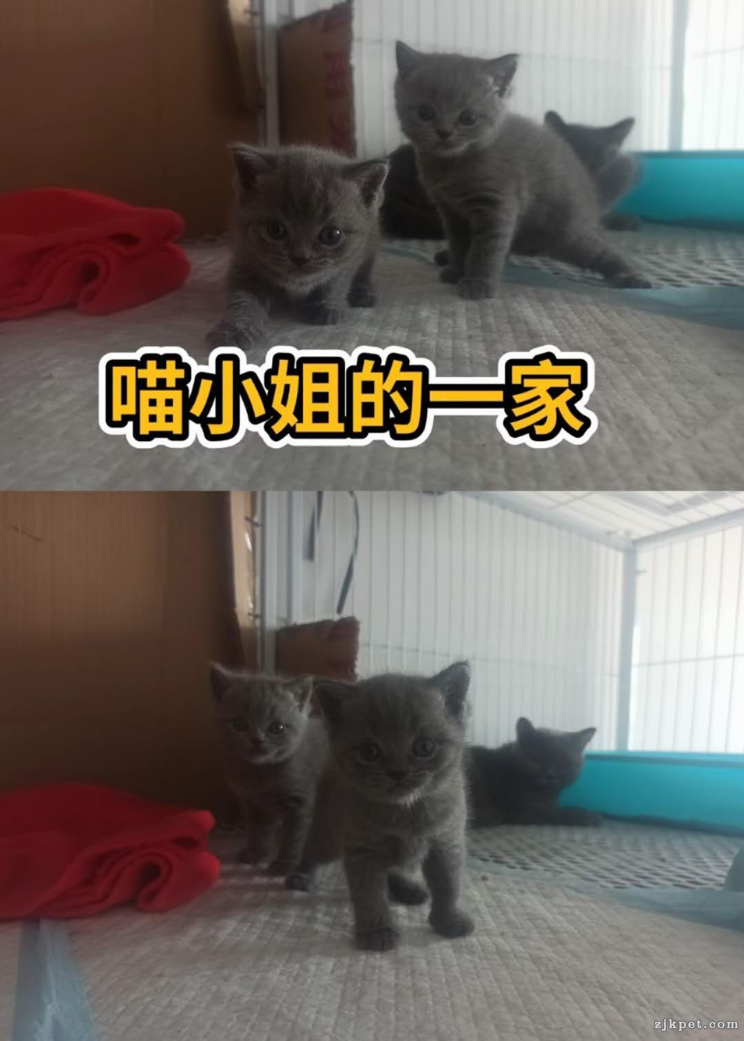 wechat_upload15948096945f0edd5eb2c3e