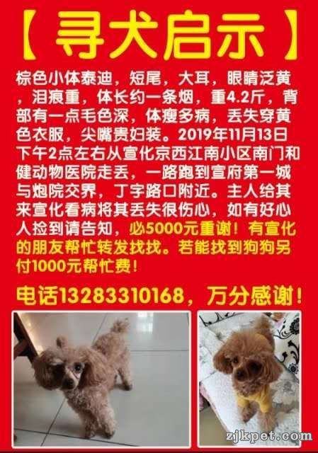 wechat_upload15948183495f0eff2da1dbe
